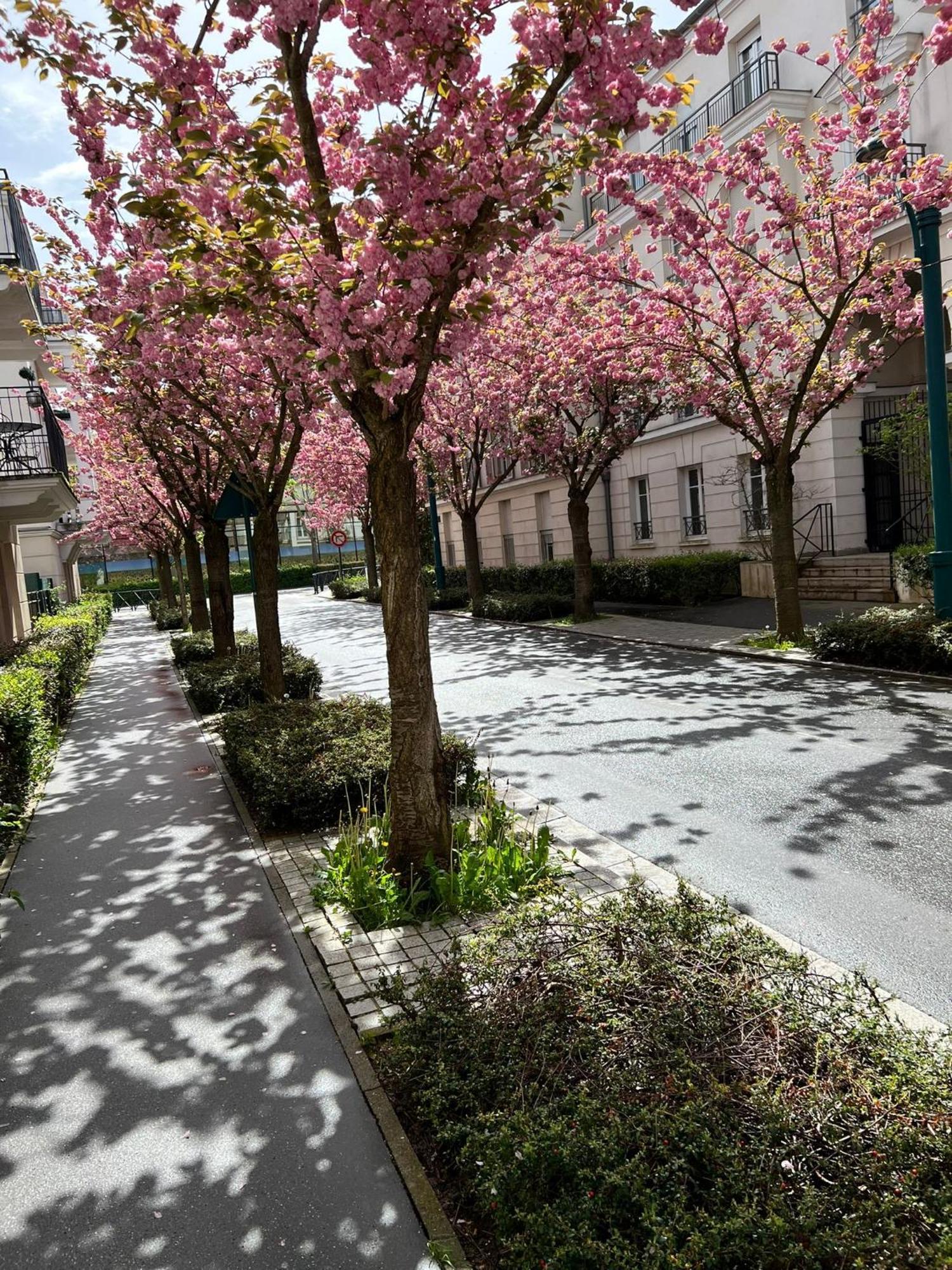שסי Sweet Appartement Disneyland Paris Parking 300M Station Val D'Europe מראה חיצוני תמונה